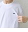 【SHIPS any別注】LACOSTE: ワンポイント ロゴ ピケ クルーネック Tシャツ 26SS◇