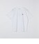 【City Ambient Products別注】Ben Lenovitz: DOG CAT PERSON Tシャツ