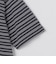 【SHIPS別注】LACOSTE: マイクロ ボーダー Tシャツ