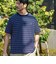 【SHIPS別注】LACOSTE: マイクロ ボーダー Tシャツ