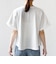 【WEB限定】〈汗染み防止/手洗い可能〉クロシェ レース ドッキング ショート スリーブ TEE