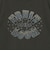 FRUIT OF THE LOOM:〈洗濯機可能〉ロゴ プリント Tシャツ<KIDS>