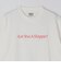 SHIPS: AUTHENTIC コットン プリント Tシャツ