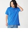 【SHIPS別注】LACOSTE: NEW 70's ドロップテイル ポロシャツ