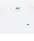 【SHIPS any別注】LACOSTE: ワンポイント ピケ クルーネック Tシャツ 26AW (ロンT)◇