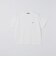 【WEB限定】SHIPS:〈手洗い可能〉ドルマンスリーブ ターンナップ Tシャツ