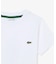 【EC only】JUNIORベーシックワニロゴパッチ 半袖Tシャツ