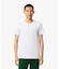 【EC only】エッセンシャル クルーネックTシャツ 3Pセット
