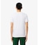 【EC only】エッセンシャル クルーネックTシャツ 3Pセット