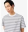 ボーダーコットンTシャツ