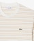 ボーダーコットンTシャツ