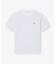 ボーダーコットンTシャツ