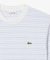 ボーダーコットンTシャツ