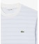 ボーダーコットンTシャツ