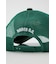 フラミンゴメッシュCAP
