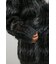 シャギーニットカーディガン