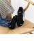 ＜PUMA＞スピードキャット OG スニーカー