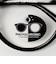 【別注】＜KANEKO OPTICAL（金子眼鏡）＞Matt マット サングラス 調光