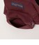 【別注】＜JANSPORT＞HALF PINT ワインレッド ミニリュック