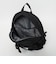 ＜THE NORTH FACE＞リープ 20 リュック