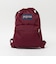 ＜JANSPORT＞ドローサック リュック