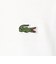＜LACOSTE＞ショートスリーブ Tシャツ