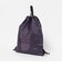 【WEB限定】＜THE NORTH FACE＞ピーエフ サックパック（13L）