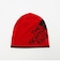 【WEB限定】＜THE NORTH FACE＞リバーシブルTNFバナービーニー ニットキャップ