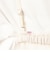 【WEB限定】＜at ease＞チュール シシュウ 2WAY スカート ワンピース