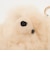 【WEB限定】＜COSY＞ベア キーチャーム（L）