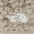 【WEB限定】＜THE NORTH FACE＞ フリース イヤー キャップ / ベビー
