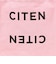 ＜CITEN＞ロゴ ステートメント プリントバッグ