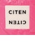 ＜CITEN＞パデッド マルチケース