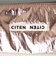 ＜CITEN＞パフ ペンケース