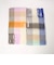 ＜CITEN＞チェックストール