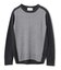 【WEB限定・洗える】ROGAN / バイカラーウールクルーネックニット