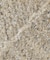 【洗える・Precious 4月号掲載】TRITOMA / ラメクルーネック半袖ニット
