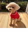 【FR PETS】FRチルデンケーブル柄ベスト