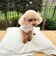 【FR PETS】接触冷感カレッジタンクトップ