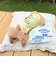 【FR PETS】接触冷感カレッジタンクトップ