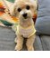 【FR PETS】接触冷感カレッジタンクトップ