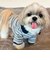 【FR PETS】マルチボーダーポロシャツ