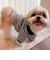 【FR PETS】マルチボーダーポロシャツ