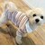 【FR PETS】マルチボーダーポロシャツ