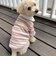 【FR PETS】マルチボーダーポロシャツ