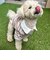 【FR PETS】マルチボーダーポロシャツ