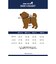 【FR PETS】マルチボーダーポロシャツ