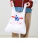 【INFIELDER DESIGN/インフィールダーデザイン】HOME RUN BAG