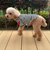 【FR PETS】ボーダーハートパッチプルオーバー