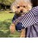 【FR PETS】ボーダーハートパッチプルオーバー